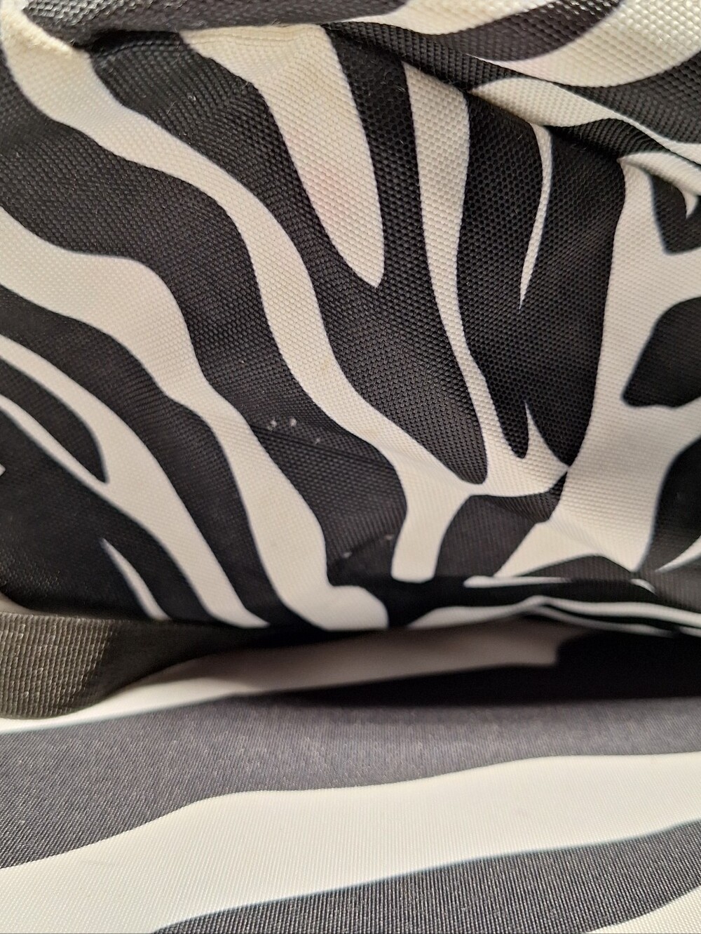 Jansport Backpack, Zebra Stripes, Black & White w/Blue Accents - Picture 11 of 16